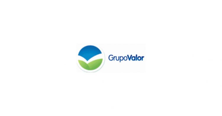 grupo valor