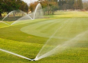 Campo de golf