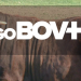 GoBov+