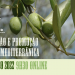 Dieta Mediterrânica