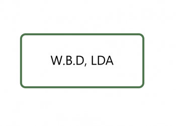 WBD, Lda.