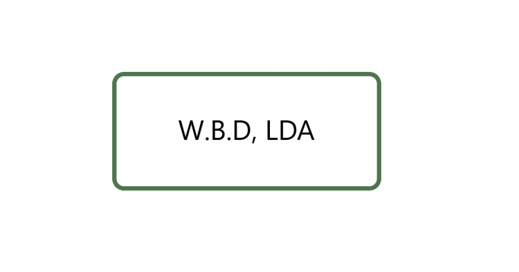 WBD, Lda.