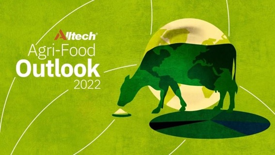 agri food alltech