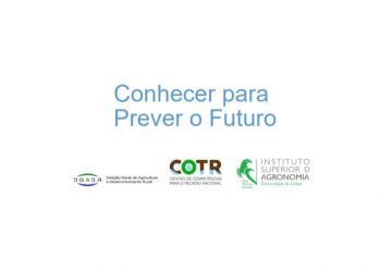 relatorio prever futuro