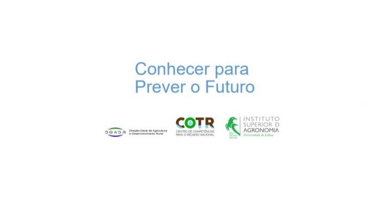 relatorio prever futuro