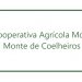 monte coelheiros