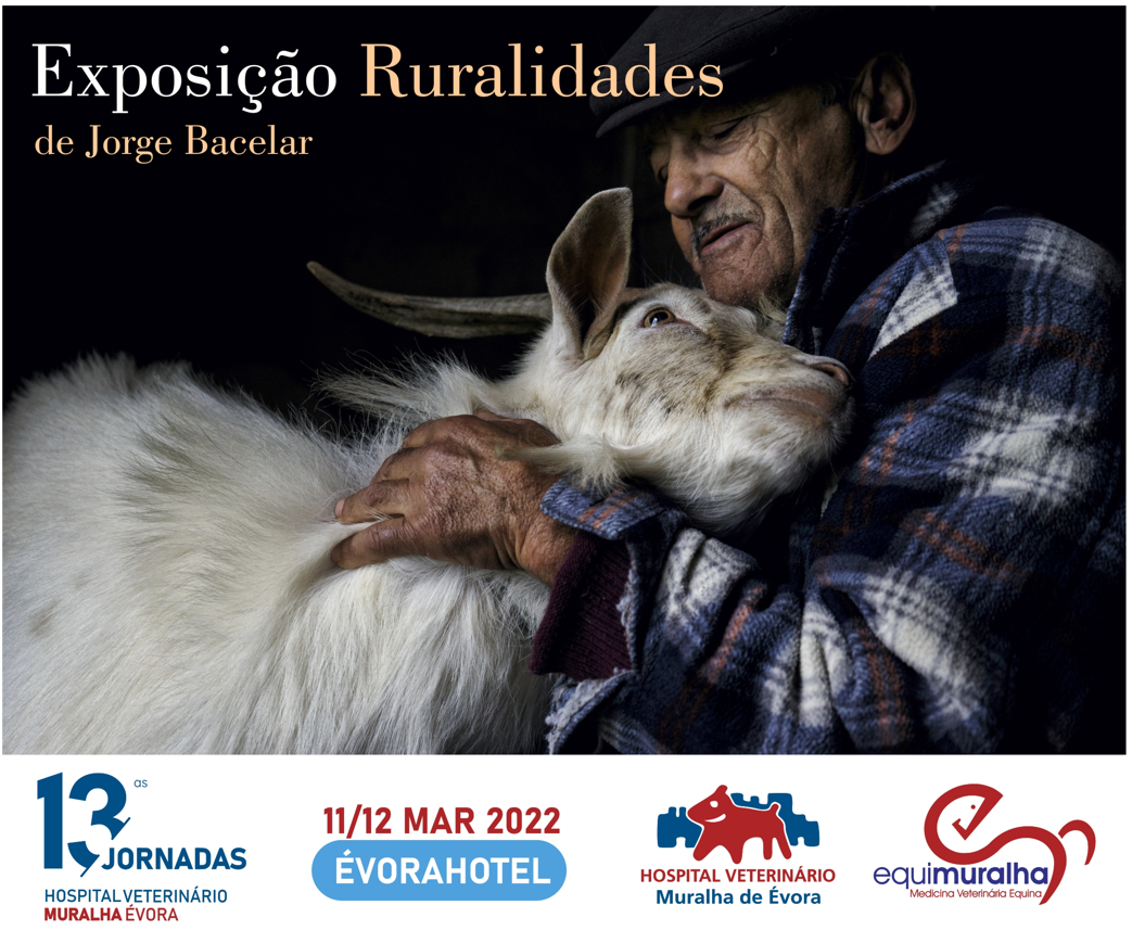 Exposição Ruralidades