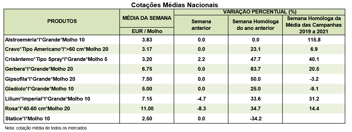 Cotações Flores e Folhagens