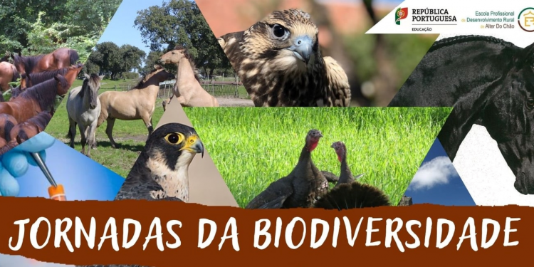 Jornadas da Biodiversidade