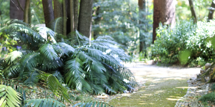 Jardim Botânico Lisboa