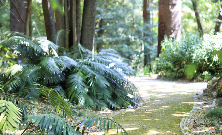 Jardim Botânico Lisboa