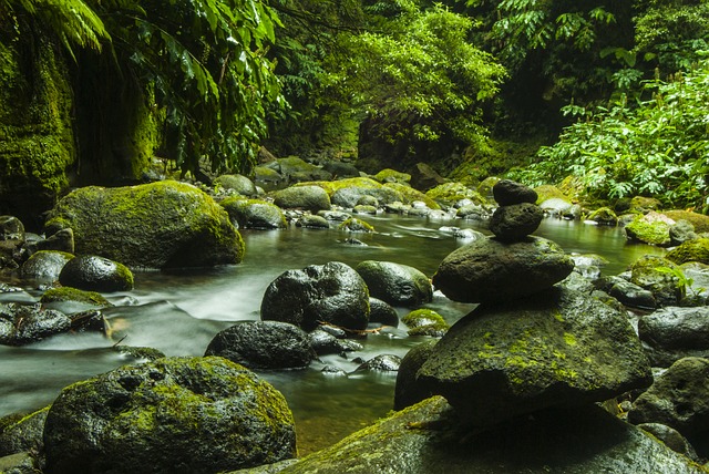 Açores