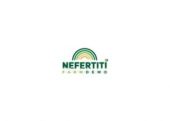 nefertiti