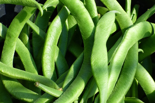 feijoca