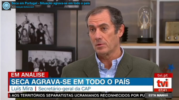 Luís Mira - TVI