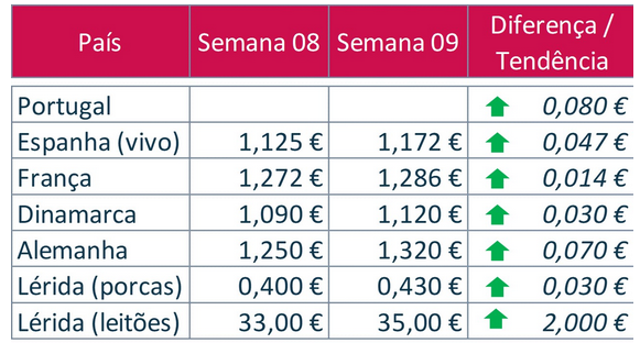 bolsa do porco - semana 8