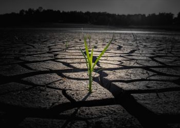 drought