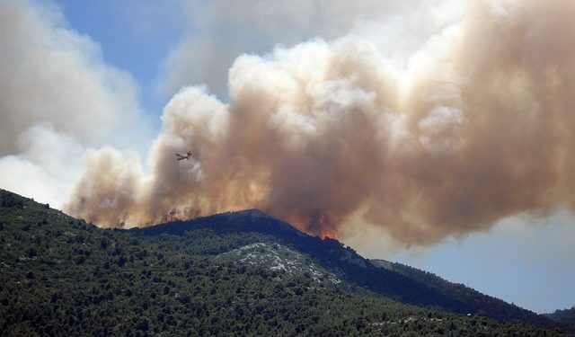 fogo florestal