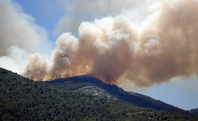 fogo florestal