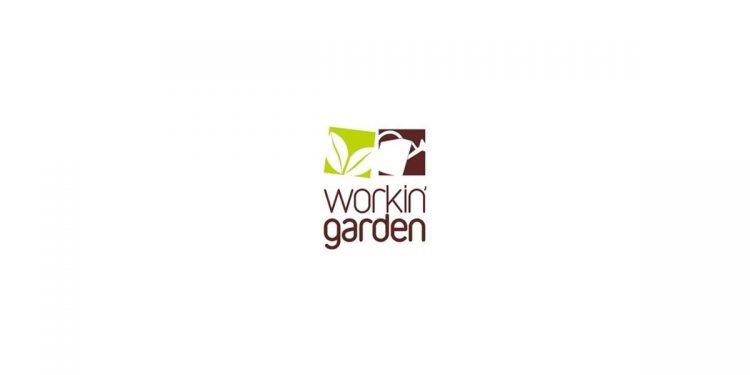 workin garden