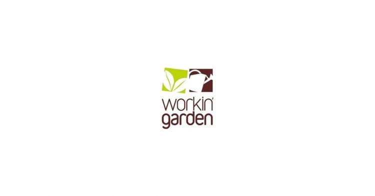 workin garden