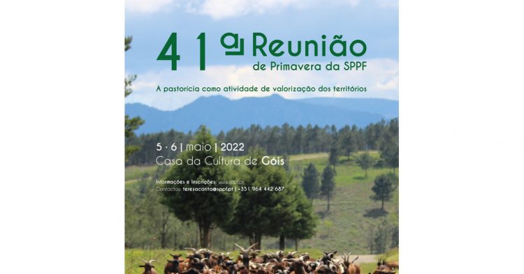 Cartaz 41º Reunião de Primavera da SPPF