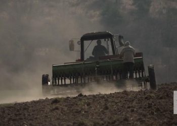 A segunda frente de batalha. Agricultores não param com o objetivo de alimentar os ucranianos (e não só)