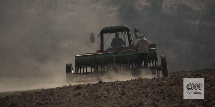 A segunda frente de batalha. Agricultores não param com o objetivo de alimentar os ucranianos (e não só)