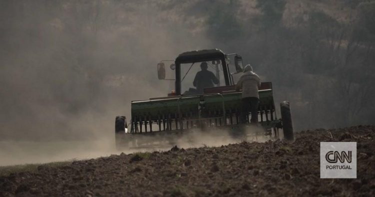 A segunda frente de batalha. Agricultores não param com o objetivo de alimentar os ucranianos (e não só)