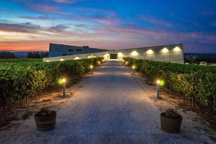 Vinhos e queijos para degustar na Adega da Caminhos Cruzados