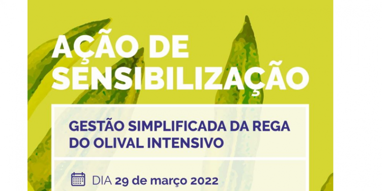 Gestão Simplificada da rega do olival intensivo