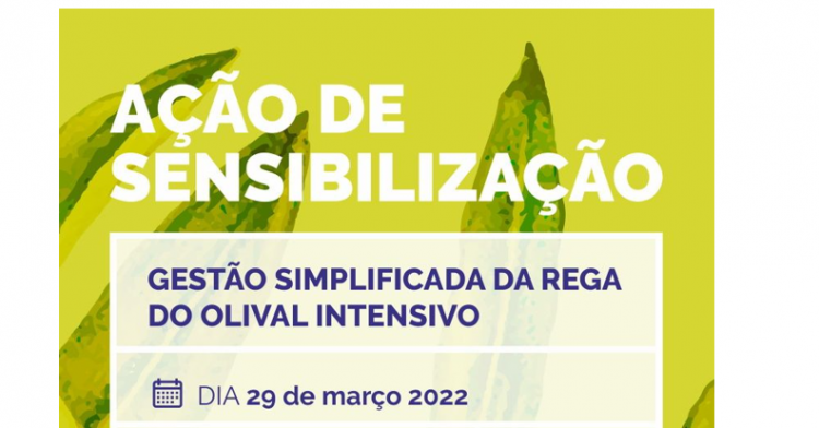 Gestão Simplificada da rega do olival intensivo