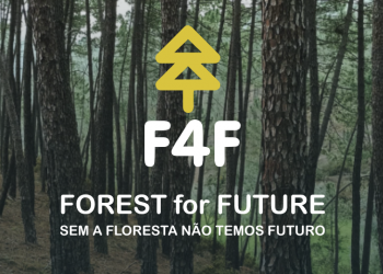 Estratégias de Valorização Ecossistemas Florestais