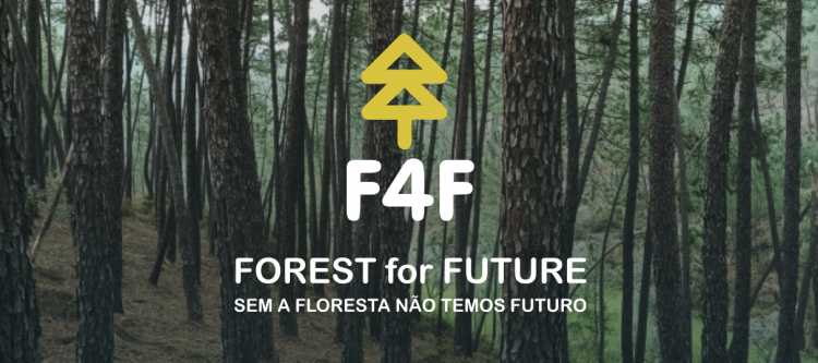 Estratégias de Valorização Ecossistemas Florestais