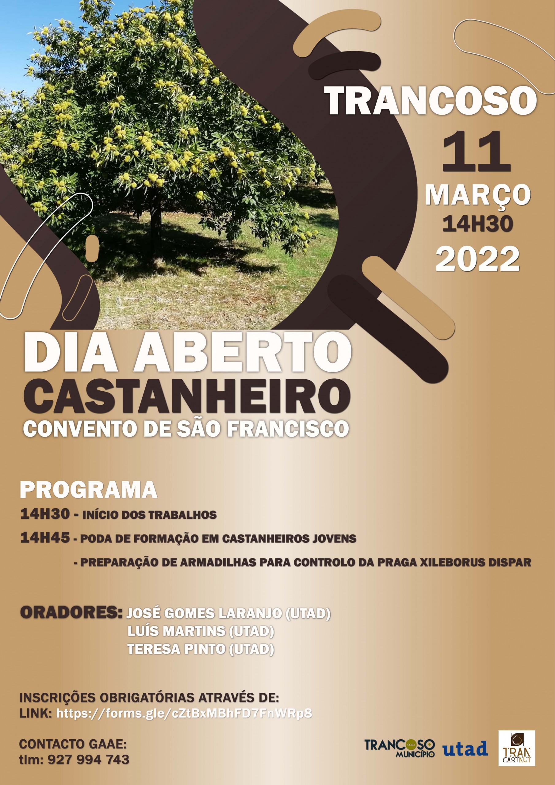 Dia Aberto do Castanheiro