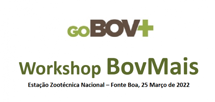 Workshop BovMais