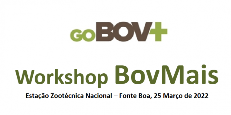 Workshop BovMais