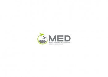 Logo MED