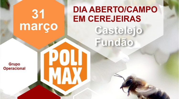 Dia Aberto/de Campo do Grupo Operacional Polimax