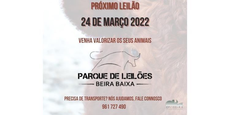 Cartaz Ovibeira Leilão