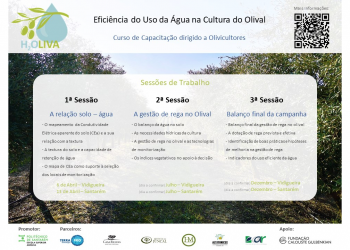 H2Oliva: Eficiência do Uso da Água na Cultura do Olival