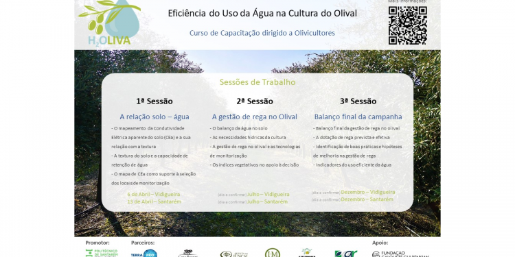 H2Oliva: Eficiência do Uso da Água na Cultura do Olival