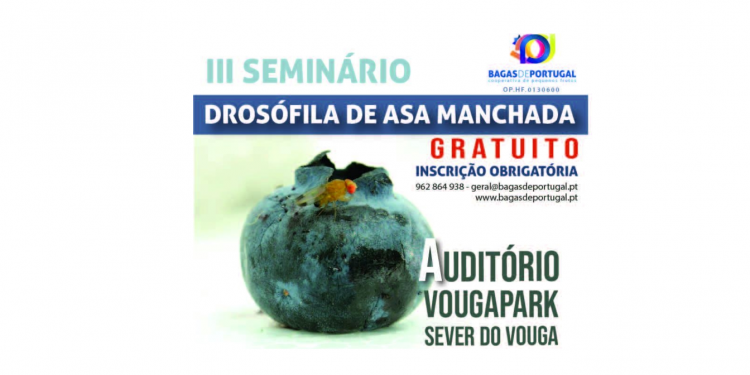 Cartaz III Seminário BDP