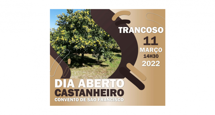 Dia Aberto do Castanheiro