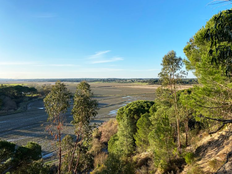 Terreno Águas de Moura