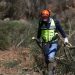 Alentejo é das regiões do país com menos freguesias prioritárias identificadas para limpeza de floresta