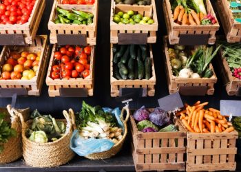 alimentos
