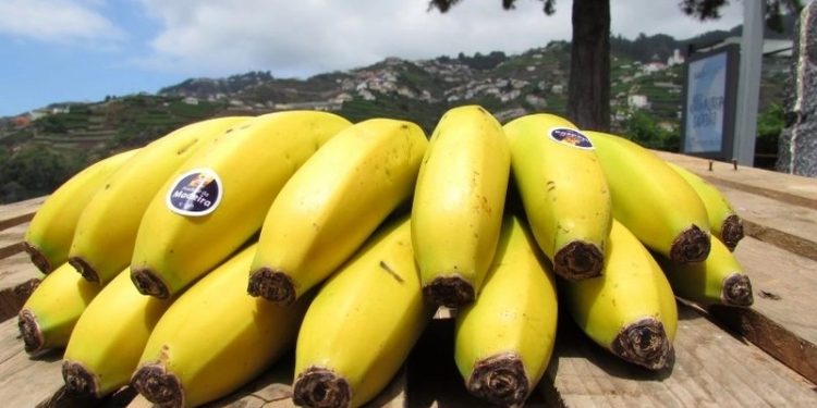 Banana da Madeira