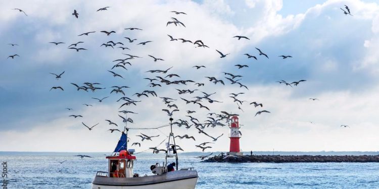 Comissão Europeia ativa medidas de crise para apoiar setores das pescas e da aquicultura