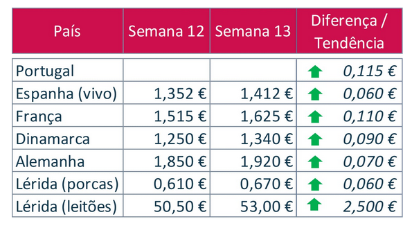 bolsa porco semana 12